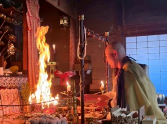 a538528c695f3882c2af9e9ea39a3e98